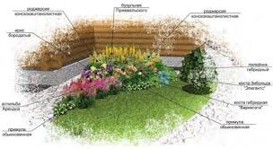 какие цветы посадить на клумбе чтобы цвели все лето фото Kakie Nizkoroslye Cvety Posadit V Klumbu Chtoby Cveli Vse Leto Klumby Pochvopokrovnye Rasteniya Kompozicii Cvetnikov