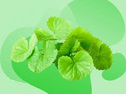 Maybe you would like to learn more about one of these? What Can Centella Asiatica Really Do For Red Dry Sensitive Skin Self