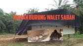 Gedung sarang burung walet, rumah gedung burung walet modern, ketinggian gedung, suhu memancing burung walet dan serangga masuk ke dalam gedung. Rumah Burung Walet Kos Rendah 1 Youtube