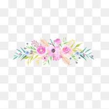 Imagens Flores Png E Vetor Com Fundo Transparente Para Download Gratis Pngtree Free Watercolor Flowers Flower Png Images Flower Painting