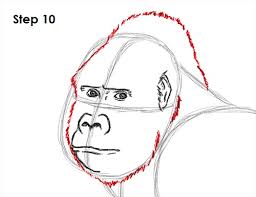We did not find results for: How To Draw A Gorilla