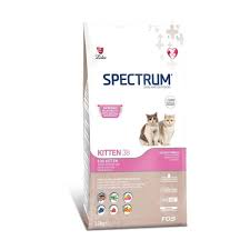 spectrum kitten yavru kedi mamasi 12 kg petza