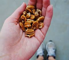 First of all let's look at the calories pecans contain, using a general cup serving. Miller Pecan Co Farm Fresh Wholesale And Retail Shelled Oklahoma Pecans What About The Nutrition Crisis