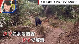 クマ被害は“クマ肉”で取り返す？「熊汁」を提供する温泉施設「観光業の活性化のために」「駆除されたクマの命を無駄にしないで…」（ABEMA  TIMES）｜ｄメニューニュース（NTTドコモ）