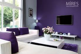 Ces deux grandes photos au dessus du canape donnent un vrai style au salon. Salon Violet Et Beige Gamboahinestrosa