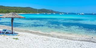 Local community only collects money but does nothing to remove grass and garbage from the beach. Sakarun Top Strand In Dugi Otok Lust Auf Kroatien De