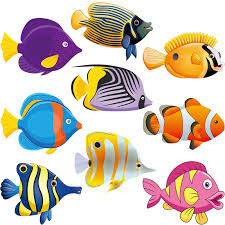 Today, we are going to make an oyster out of paper plate for her! 45 Pieces Fish Cut Outs Paper Colorful Classroom Decoration Tropical Fish Accents Cutouts With Glue Point Dots For Bulletin Board School Fishing Ocean Themed Birthday Party Supply 5 9 X 5 9 Inch Buy Online