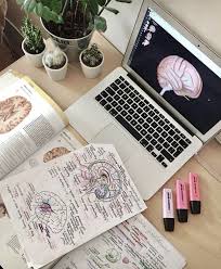 Itstaylormichelle Med School Motivation Study Organization Medical School Motivation