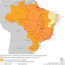 This map quiz game featuring brazil's 26 states is a great supplemental classroom activity. Yellow Fever Distribution And Areas Of Risk In Brazil As Of 16 January 2018