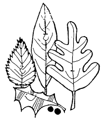 Check spelling or type a new query. Leaf Black And White Pile Of Leaves Clip Art Black And White Free Wikiclipart