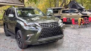 Image result for Nori Green 2022 LC