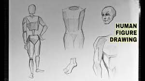 Not only is it among the most sophisticated animal structures in nature, it is also one of those with. How To Draw Human Anatomy Easily For Beginners Youtube