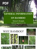 Image result for Oreobambos buchwaldii