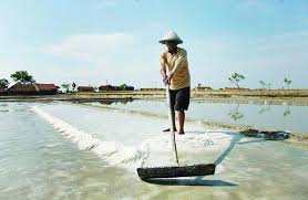 Kerajaan malaysia boleh di saman. Kurang Pengawasan Hasil Bumi Kalimantan Banyak Dijual Di Malaysia Kbk Kantor Berita Kemanusiaan