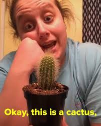 Lady anna had a lovely garden with lots of flowers. Nifty Alloy The Cactus Facebook