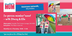 Swansea Netwalk