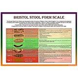 Set Of Two Bristol Stool Scale And Urine Hydration
