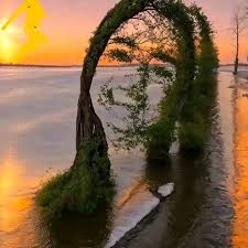 Sophie's face says it all 😂