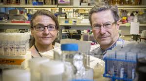 More than 2,800 business licenses were filed from jan. Research On Therapies For Herpes And Diabetes Win Stat Madness Stat