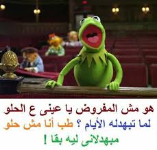 هو فيه يا عيني ويا ودني ويا منخيري المهم انك هتتبهدل يعني هتتبهدل ههههههههههه funny dude funny qoutes arabic funny