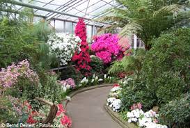 A complete day by day itinerary based on your preferences. Botanische Garten