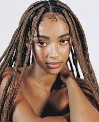 Preppy Mess On Twitter Braid In Hair Extensions Braided Hairstyles Braids With Extensions