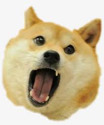 Looking for the best doge meme wallpaper? Doge Sticker Original Doge Transparent Png 1024x1180 Free Download On Nicepng