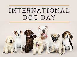 The original and official day for all dogs! International Dog Day 2021 History And How To Celebrate This Day Boldsky Com