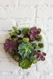 If you're thinking about adding some succulents to your home, consider putting them in a diy planter. Diy Succulent Wall Planter Video The House That Lars Built