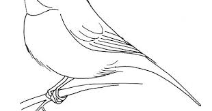 Some capped coloring may be available for free. Black Capped Chickadee Coloring Pages