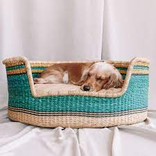 Afripet is a cape town based company manufacturing a range of exclusive pet products including dog beds; Dog Accessories From You Lou Visi