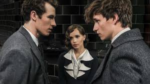 Fantastic Beasts And Where To Find Them 2 Leta Lestrange A Love Letter To Leta Lestrange The Unsung Hero Of Fantastic Beasts Fantastic Beasts Fantastic Beasts Cast Crimes Of Grindelwald