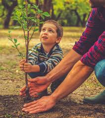 Check spelling or type a new query. 50 Interesting Facts And Information About Plants For Kids