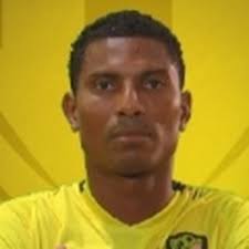 Estadísticas Freddy Brito,