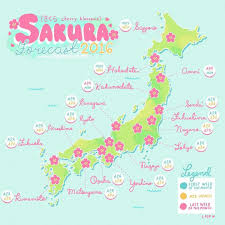 Hello Japanlovers Planning On Visiting Japan To See Cherry Blossoms This Spring Here S A Helpful Infographic About The Sakura Forec Japan Japan Honeymoon Visit Japan