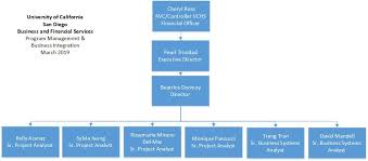 program management business integrations org chart