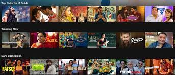 This shows that the india library is growing slowly, but as of now netflix don't have most of local india. How To Access Indian Netflix Abroad Working In 2021 Watch Netflix Abroad
