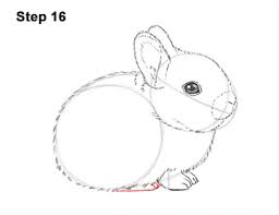 From this video, you will learn how to draw a cute bunny.hope you enjoy it and like the interesting fact related to the animal at the end of the. How To Draw A Rabbit Baby Video Step By Step Pictures
