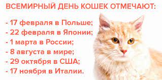 Международный день кошек (world cat day) — праздник относительно молодой. Vsemirnyj Den Koshek 1 Marta Rusalut Ru