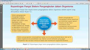 Live worksheets > malay > biologi > sistem pengangkutan > keperluan sistem pengangkutan dalam organisma multisel. Kepentingan Fungsi Sistem Pengangkutan Dalam Organisma Youtube