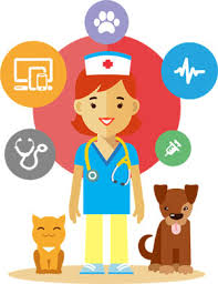 Laurel road london, ky 40744. About Us At The South London Emergency Veterinary Centre