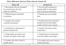Check spelling or type a new query. Structure And Nature Of Living Cell