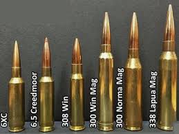 6 5 Creedmoor Vs 300 Winchester Magnum What Is Better