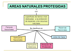 La región península de baja california y pacífico norte está conformada por 19 áreas naturales protegidas reconocidas a nivel mundial por su alto valor ambiental, las cuales suman 43, 471, 482 hectáreas. Areas Naturales Protegidas Ppt Descargar