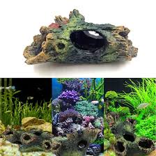 Best Large Aquarium Floating Betta Log Aquarium That In 2020 Betta Aquarium Betta Fish Tank
