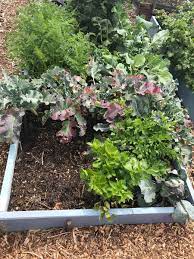 If drainage is a problem, or if the plants you are growing prefer drier soil, the bed could be taller and filled with a porous growing medium. What Size Is Best For A Vegetable Garden Insteading