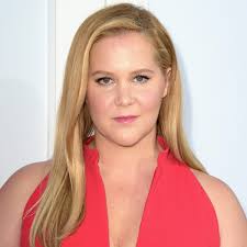 Abc news' lara spencer reports amy schumer surprised fans in february when she announced that, yup, she had tied the knot. Amy Schumer Husband Movies Facts Biography