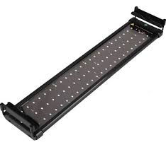 Lighting for your reef aquarium is one of the most studied, discussed and documented topics in hobby. Nicrew Classicled Aquarium Light Fish Tank Light With Extendable Brackets White And Blue Leds Pet Supplies Homes Other Pet Accessories On Carousell
