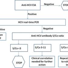 Antibodies are chemicals released into the bloodstream when someone gets infected. Pdf Evaluation Of Quantitative Real Time Pcr As A Hepatitis C Virus Supplementary Test After Riba Discontinuation