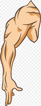 Arms and hands are very expressive parts of a figure. Arm Png Images Pngegg